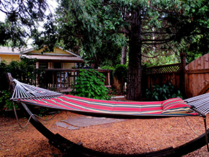 Private backyard with spa and hammock